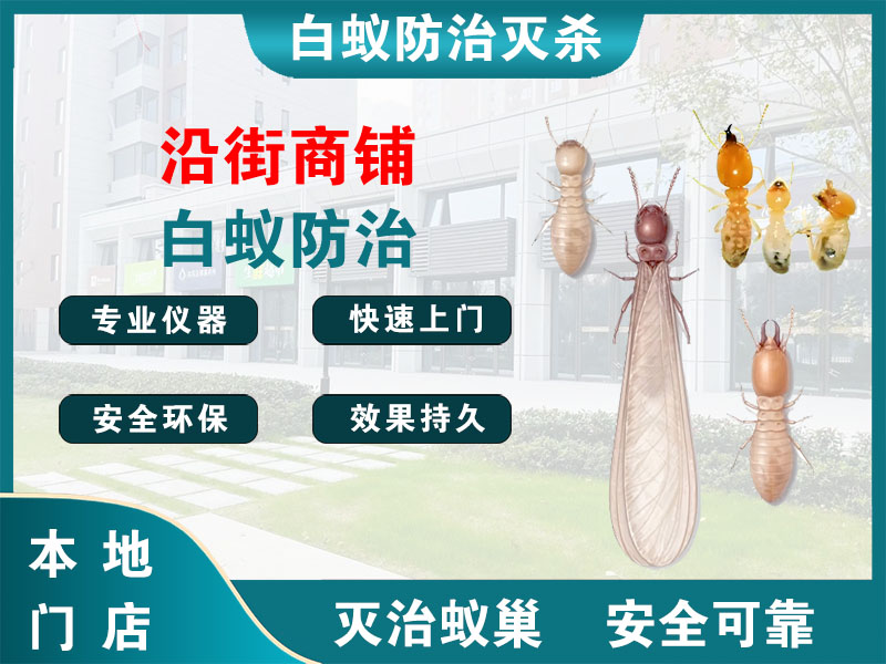 武义县沿街商铺白蚁防治