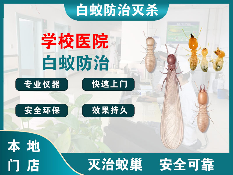 武义县学校医院白蚁防治