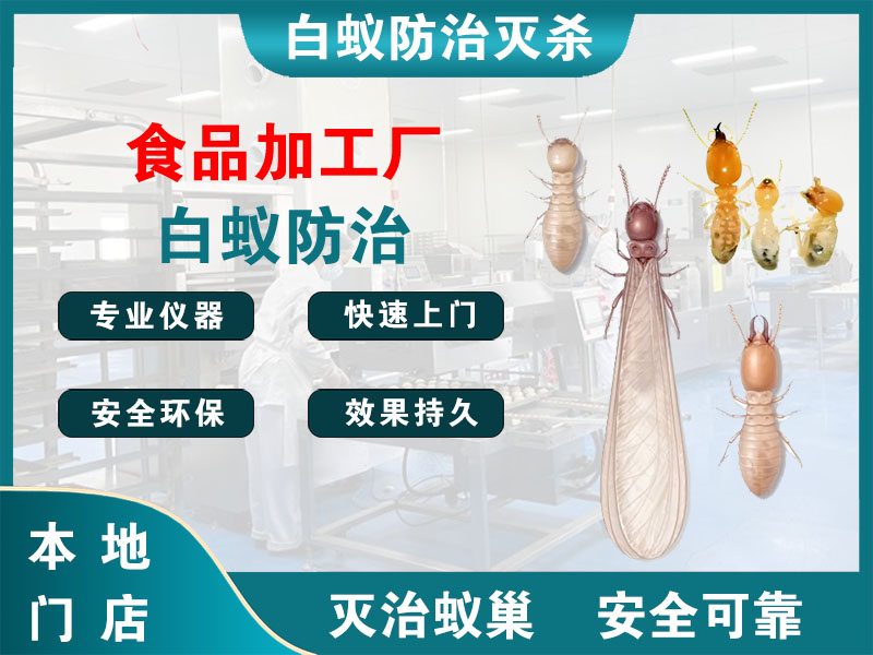 武义县食品加工厂白蚁防治
