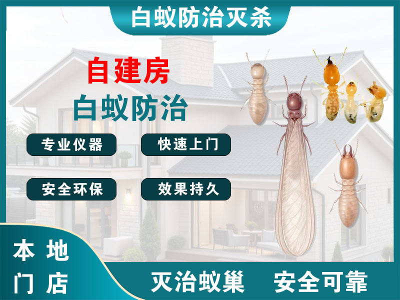 武义县自建房白蚁防治