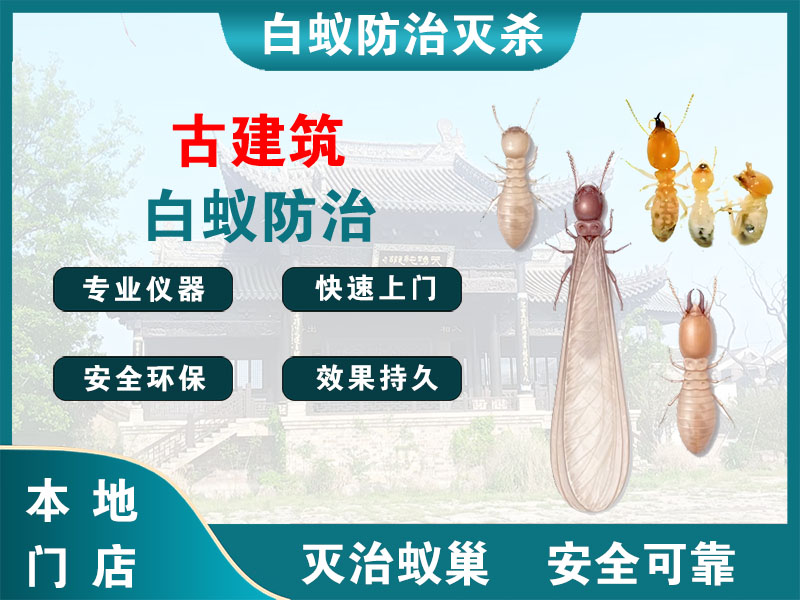 武义县古建筑白蚁防治