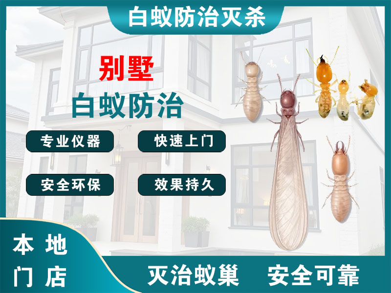武义县别墅白蚁防治