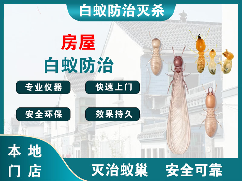 武义县房屋白蚁防治